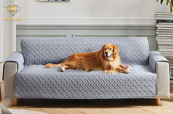 Bọc ghế sofa, áo trùm sofa bảo vệ sofa khỏi chó mèo hiệu quả